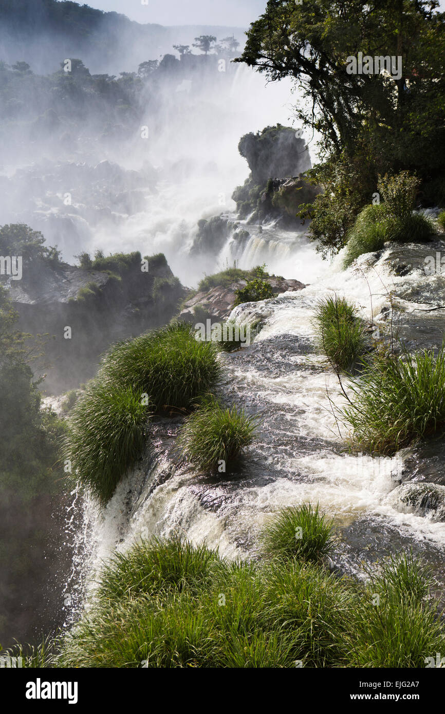 L'Argentine, Iguazu Falls, de l'eau coulant sur Bernabe Mendez waterfall Banque D'Images