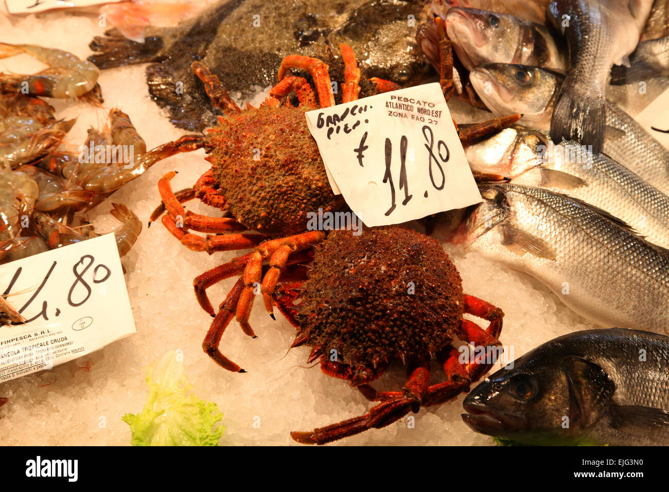 Mercado de Rialto, marché aux poissons de Venise, Italie Banque D'Images