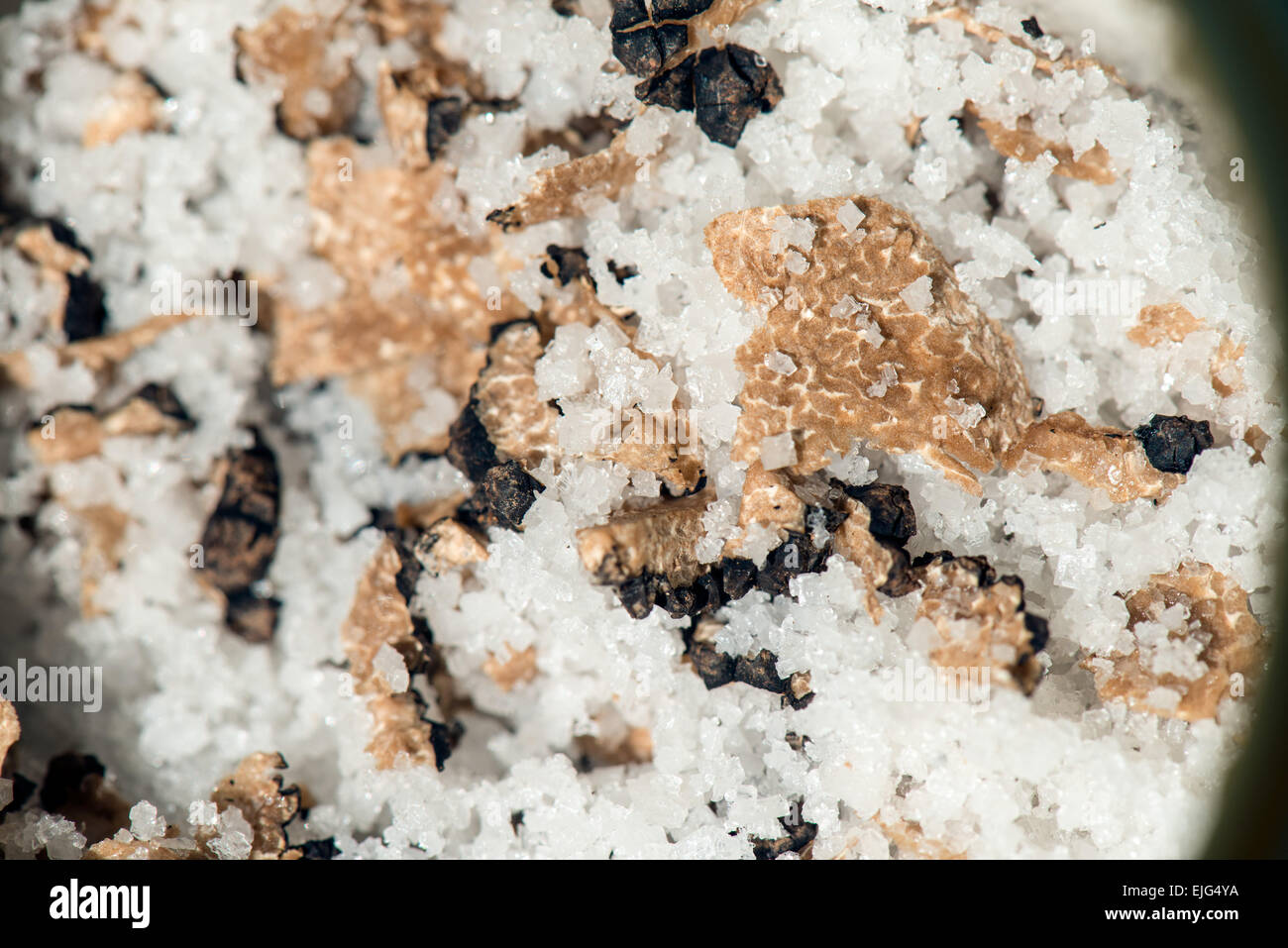 Burgund truffes coupées en deux et préservés avec du sel Périgord noir Dordogne France Banque D'Images