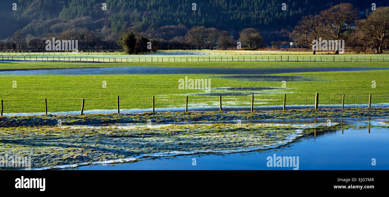 Piscines d'eau gelée dans les pâturages des terres agricoles de la vallée de Conwy sur une journée dans l'hiver glacial du Parc National de Snowdonia Gwynedd Banque D'Images