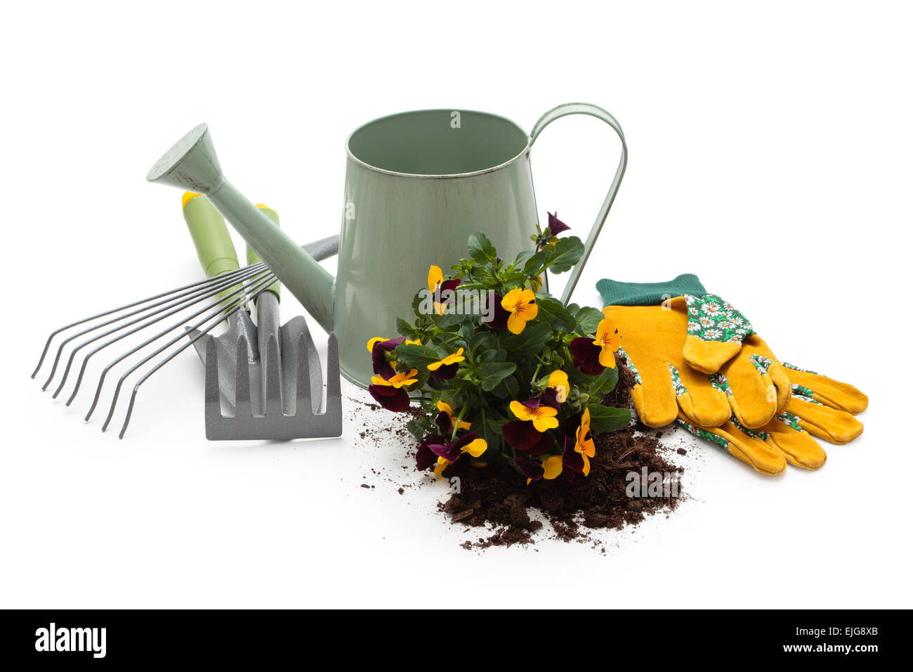 Arrosoir, fleurs, gants de protection et d'équipement de jardinage. Isolé sur fond blanc. Banque D'Images