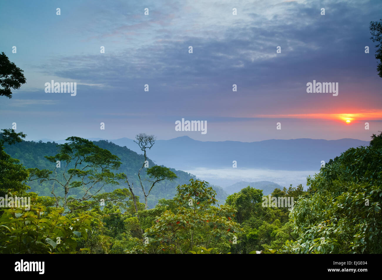 Lever de soleil vu de Cerro Pirre dans le parc national de Darien, province de Darien, République de Panama, Amérique centrale. Banque D'Images