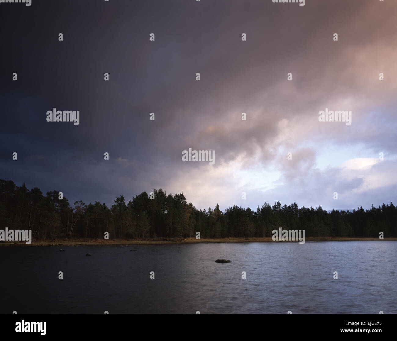 Dans le Loch Morlich, météo changeante Rothiemurchus Forest, Aviemore, Scotland, UK Banque D'Images