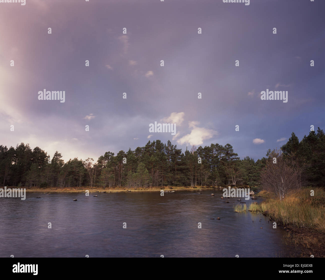 Dans le Loch Morlich, météo changeante Rothiemurchus Forest, Aviemore, Scotland, UK Banque D'Images