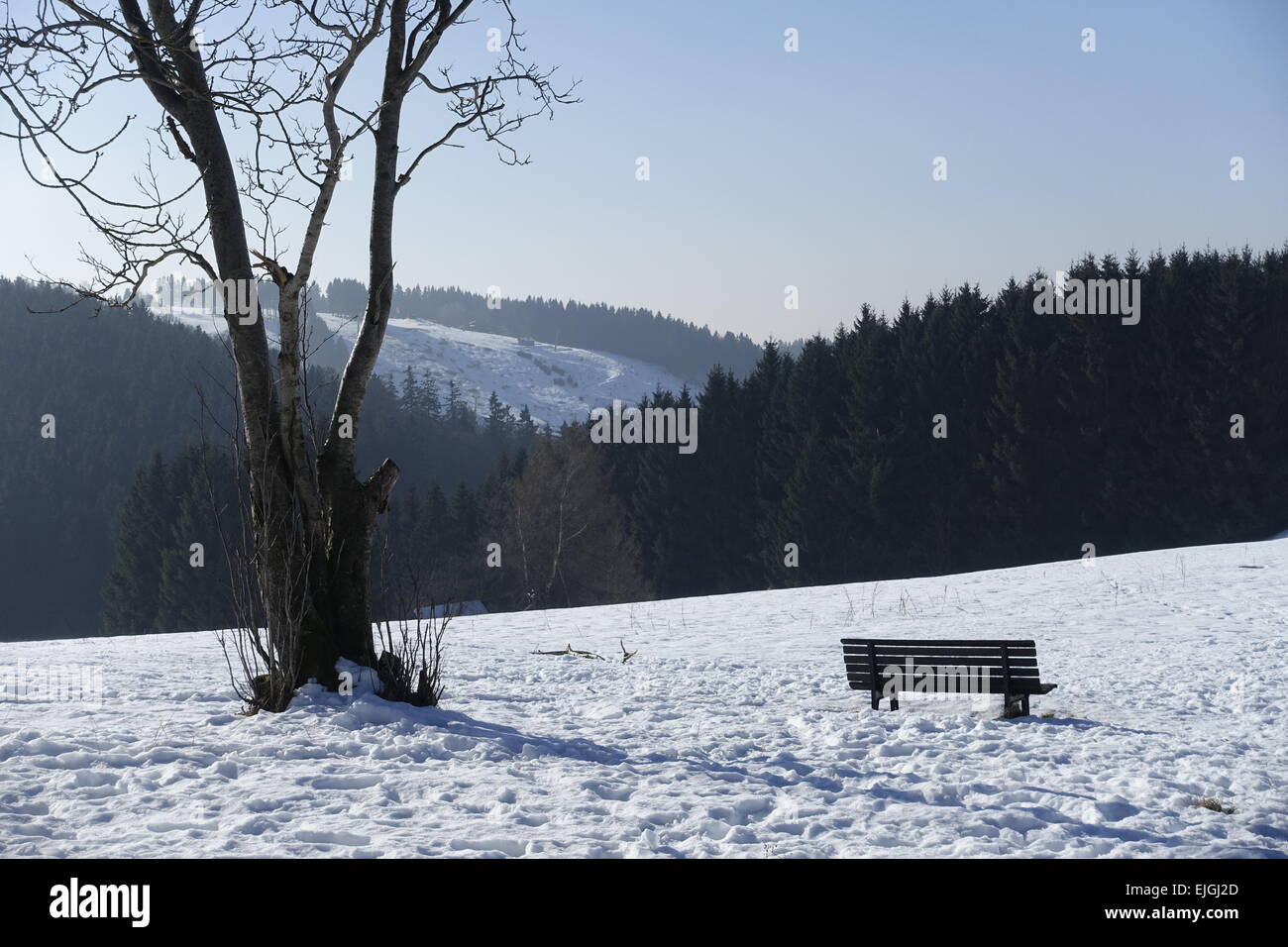 Sankt Andreasberg, Harz en hiver Banque D'Images