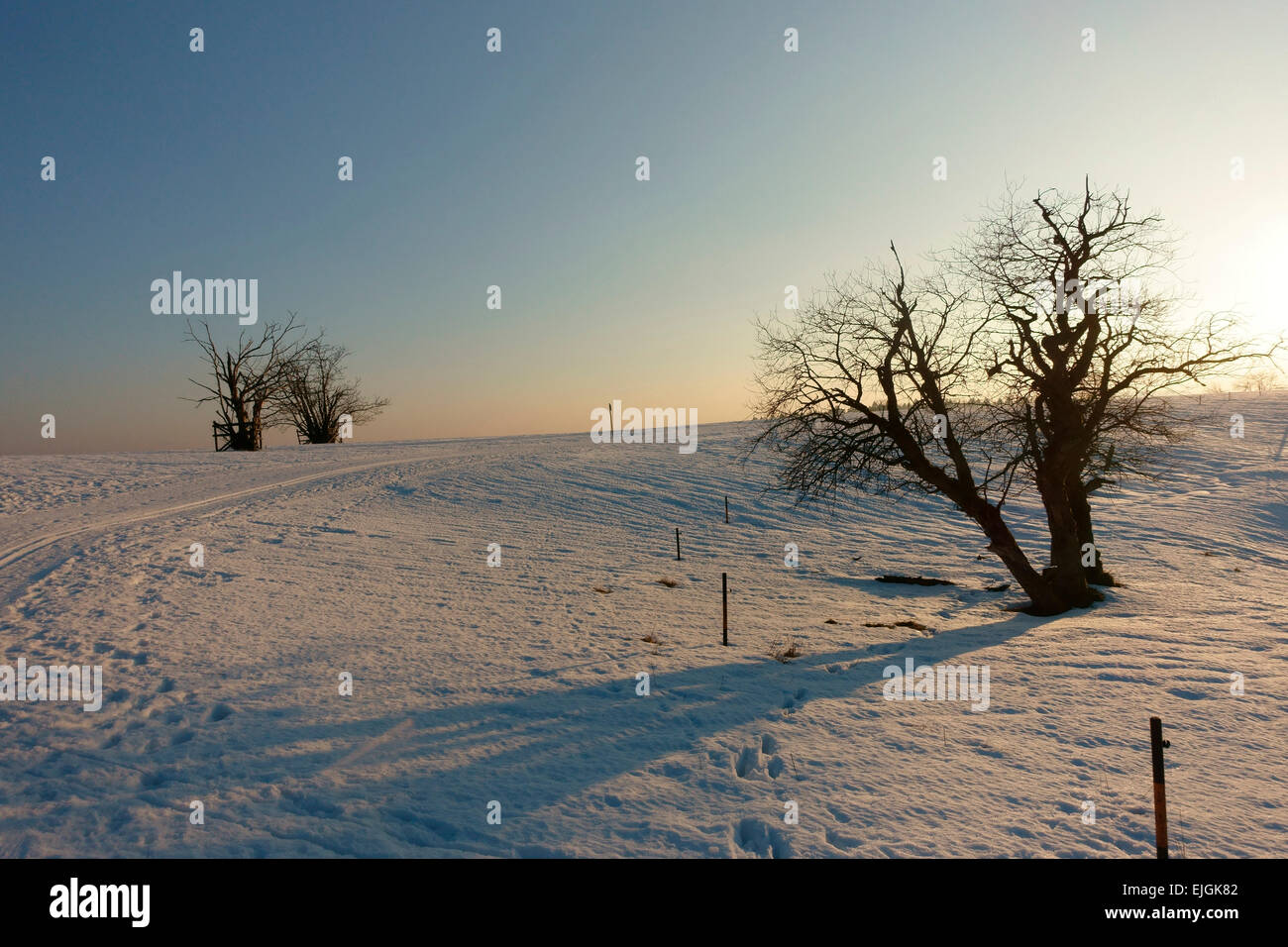 Sankt Andreasberg, Harz en hiver Banque D'Images