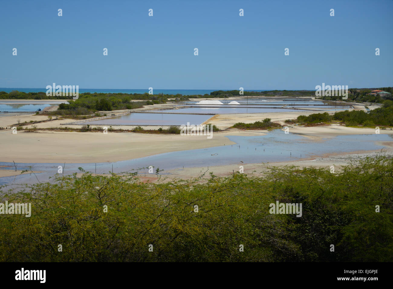 Salines vue depuis la tour d'observation à Cabo Rojo. Puerto Rico. Le territoire américain. L'île des Caraïbes. Banque D'Images Salines vue depuis la tour d'observation à Cabo Rojo. Puerto Rico. Le territoire américain. L'île des Caraïbes. Banque D'Images