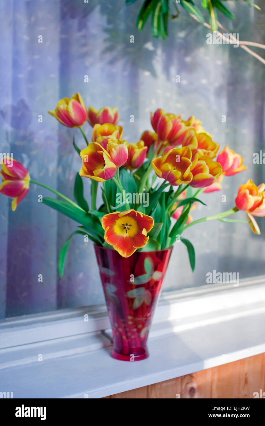 Un superbe bouquet de tulipes Banque D'Images