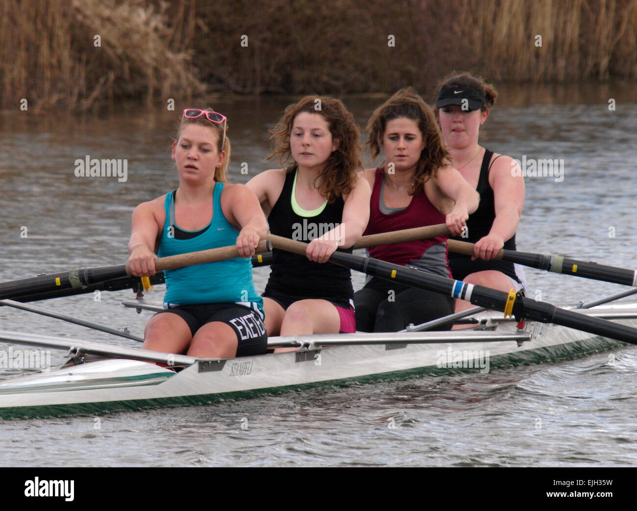 Un quatre sans barreur de l'équipe d'aviron de l'Université d'Exeter en formation sur le canal d'Exeter par une froide journée de printemps, Devon, UK Banque D'Images