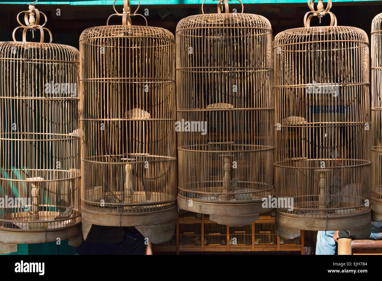 Les cages à oiseaux à Ngasem traditionnels, Marché, Yogyakarta, Java, Indonésie Banque D'Images