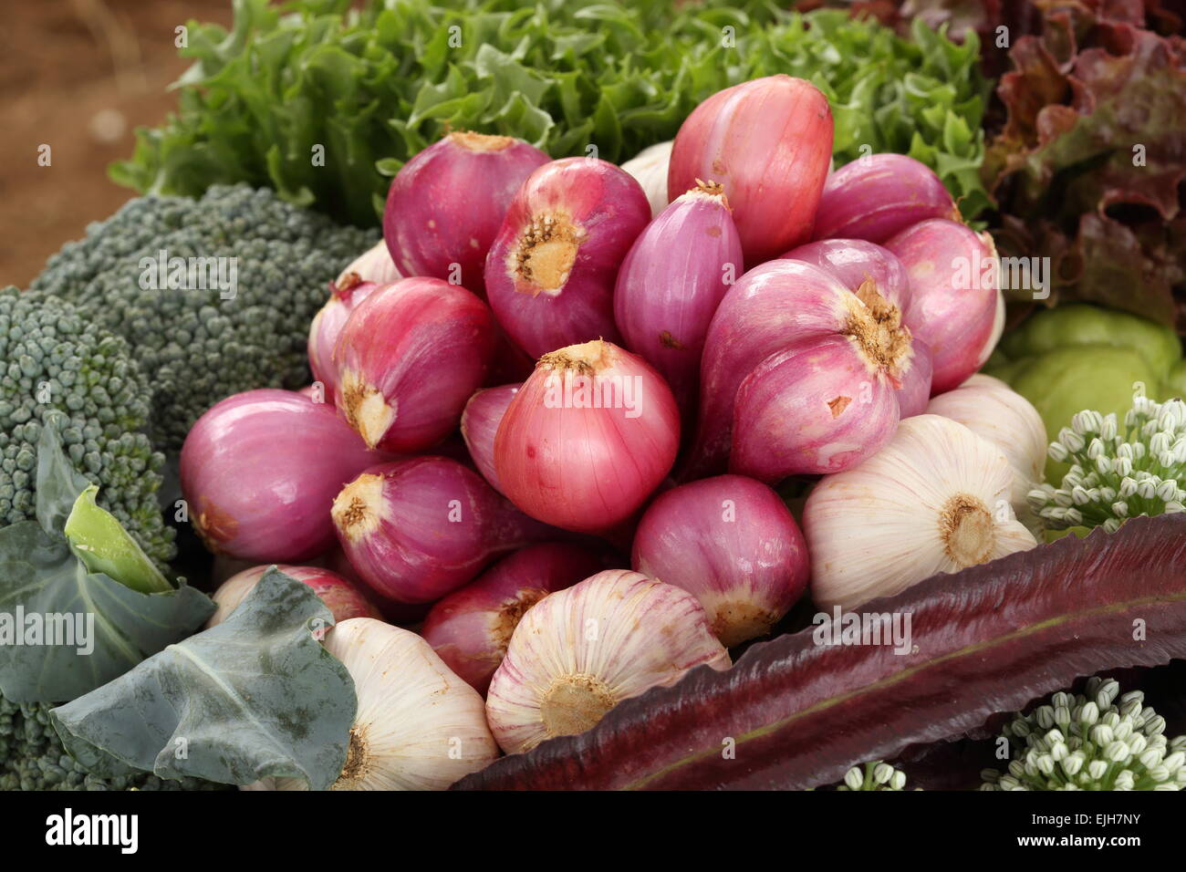 L'ail et les légumes des aliments sains (bio et d'aliments frais) Banque D'Images