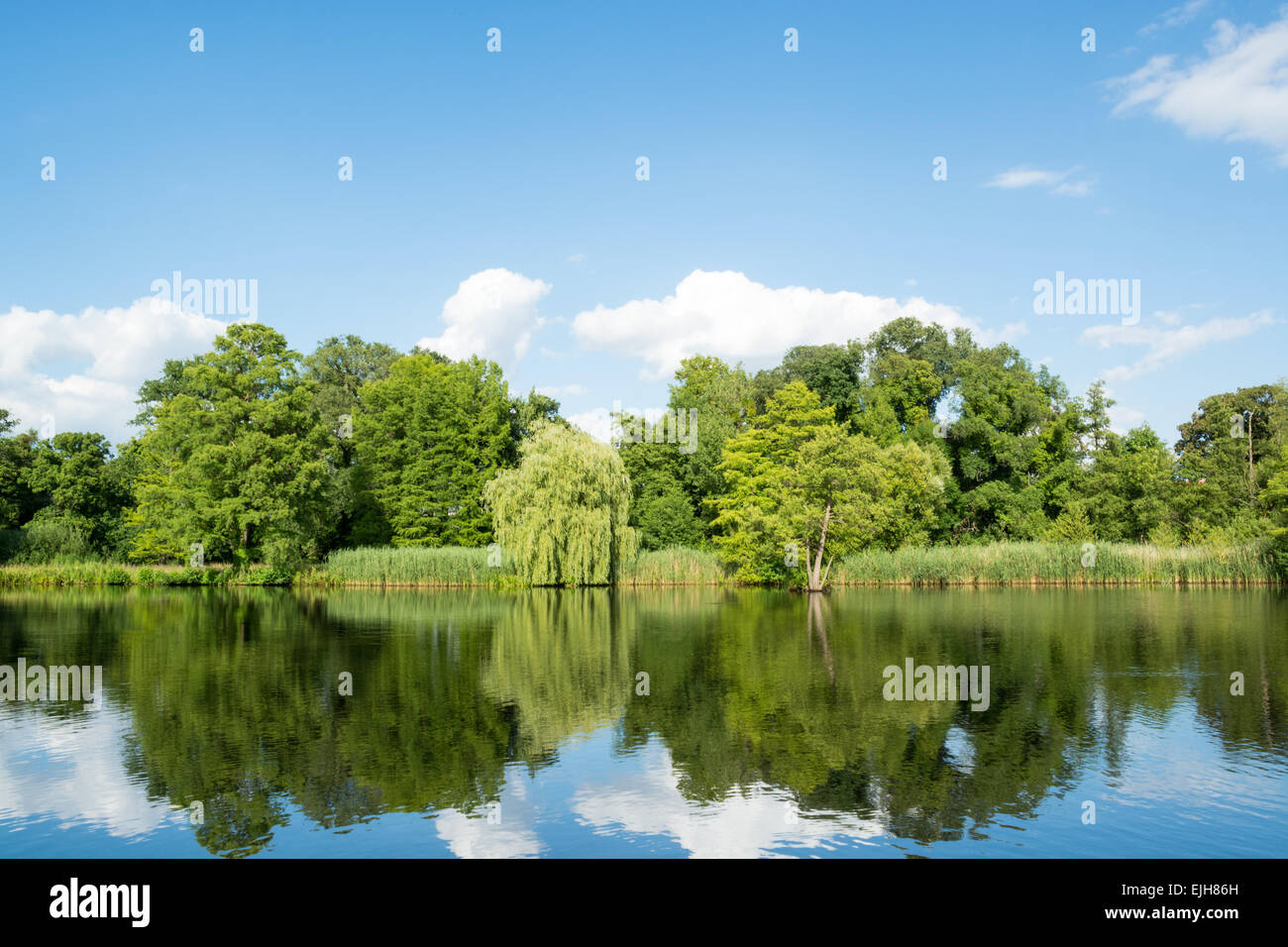 Paysage avec des arbres, reflétant dans l'eau, Potsdam, Allemagne Banque D'Images