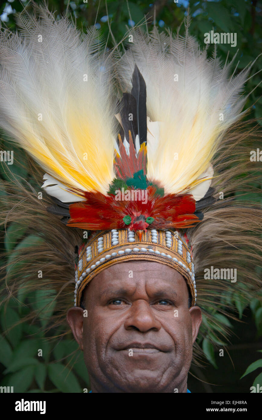 Dani homme portant bird feather head dress, Wamena, Papouasie, Indonésie Banque D'Images