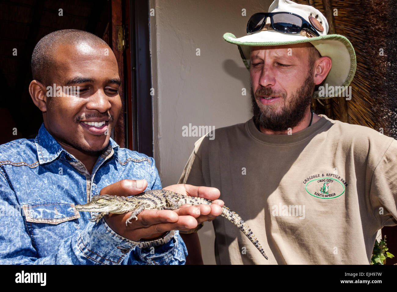 Johannesburg Afrique du Sud, Croc City Crocodile & Reptile Park, ferme, Black man men male, employés travailleurs employés, personnel de travail, animalière, naturaliste, h Banque D'Images