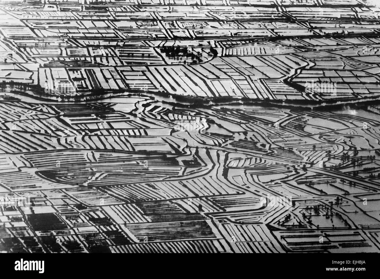 Vue aérienne de la rizière le long de la côte au coucher du soleil, l'île de Java, Indonésie Banque D'Images