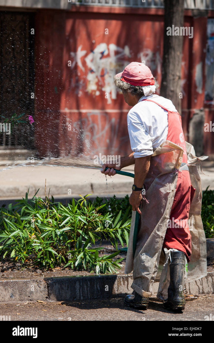 Man watering street gardens, Santiago, Chili Banque D'Images