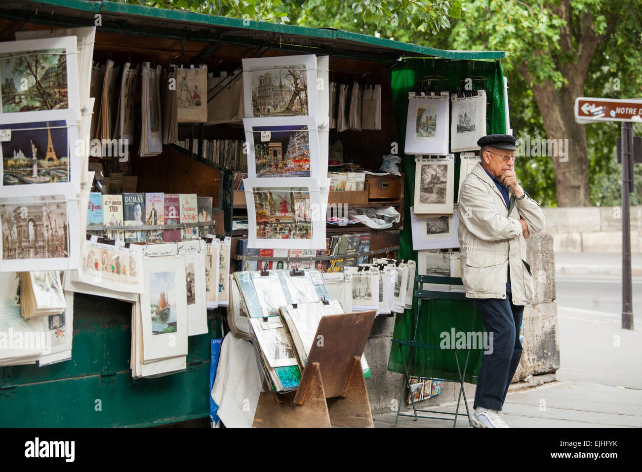 Bookseller cale par la Seine, Paris, France Banque D'Images