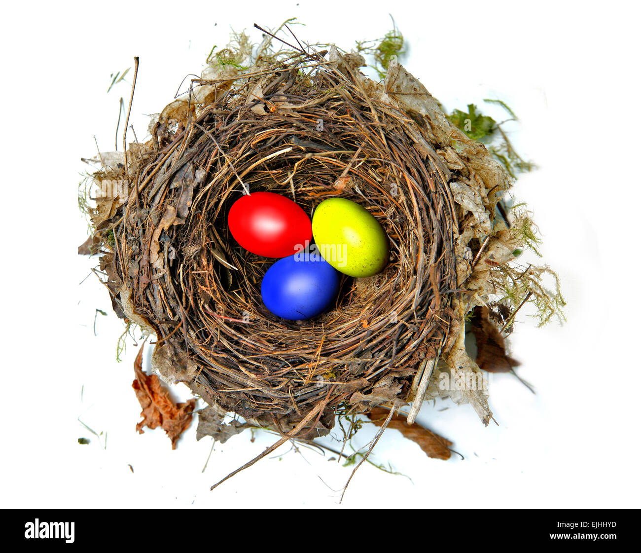 Les oeufs colorés dans Bird's Nest Banque D'Images