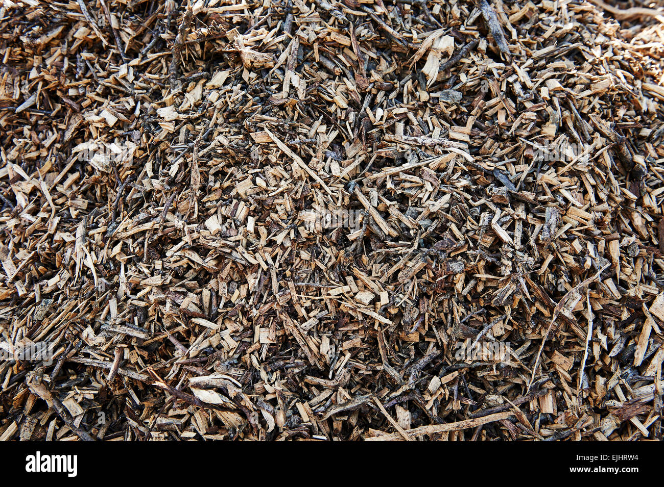 Les copeaux de bois - bois recyclés sous-produit d'entretien utilisé pour paillis. Banque D'Images