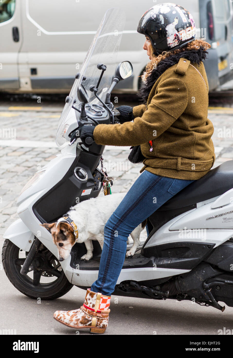 Femme en scooter avec chien, Paris, France Banque D'Images
