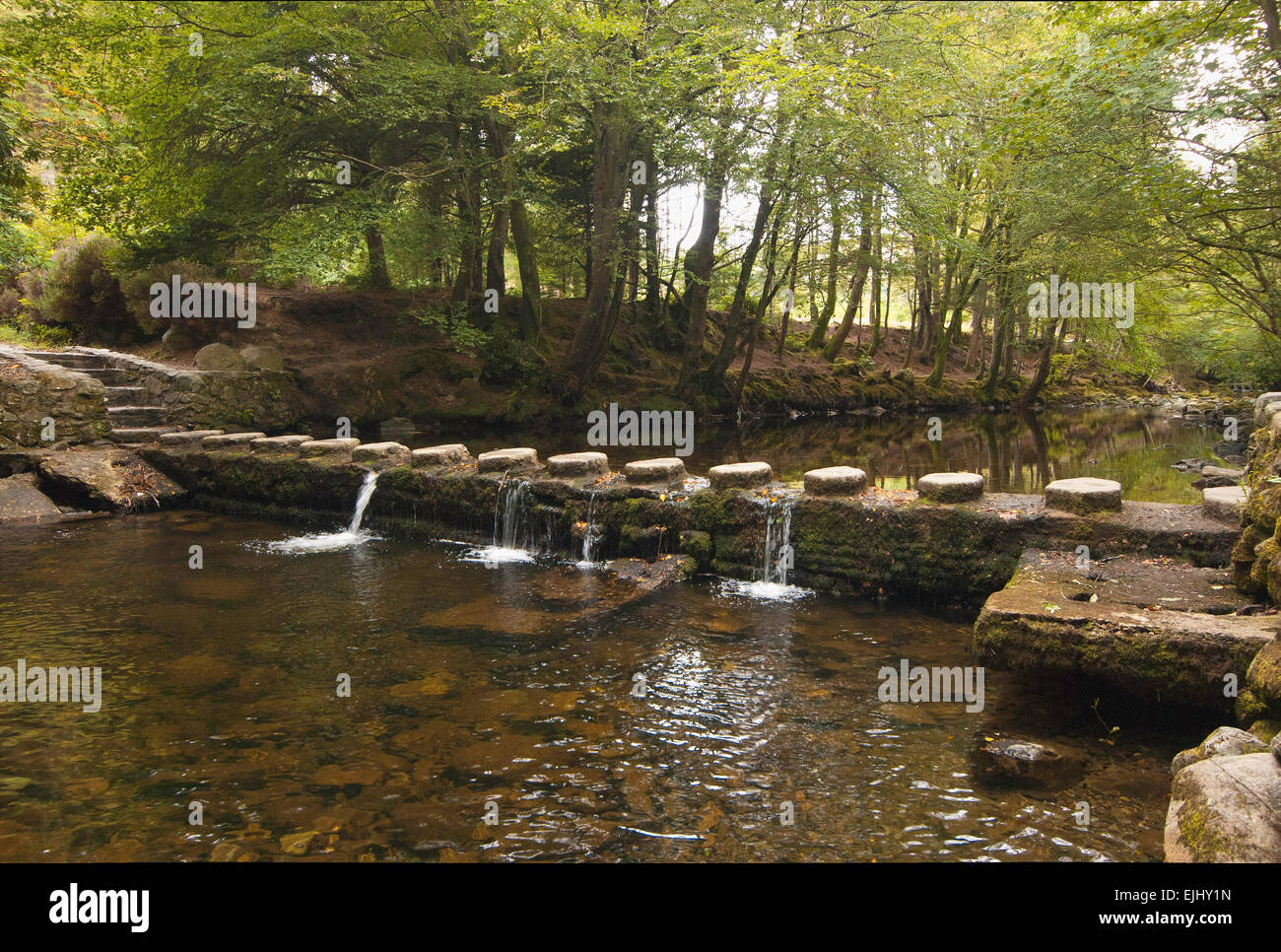 L'un des 16 ponts sur la rivière Shimna à Tollymore Forest Park, l'Irlande du Nord Banque D'Images