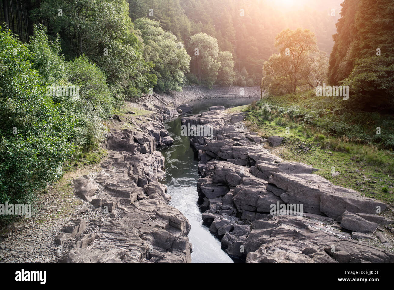Beau matin image paysage de lumière du soleil à travers les arbres en dessous de canyon creek Banque D'Images