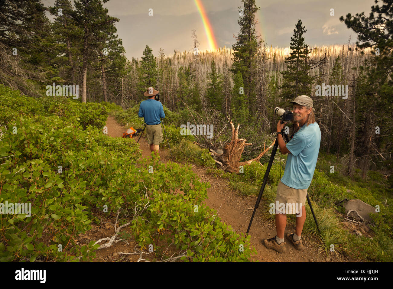 Ou01788-00...OREGON - photographes sur le sentier du canyon près de Lac Jack dans la forêt nationale de Deschutes. Banque D'Images