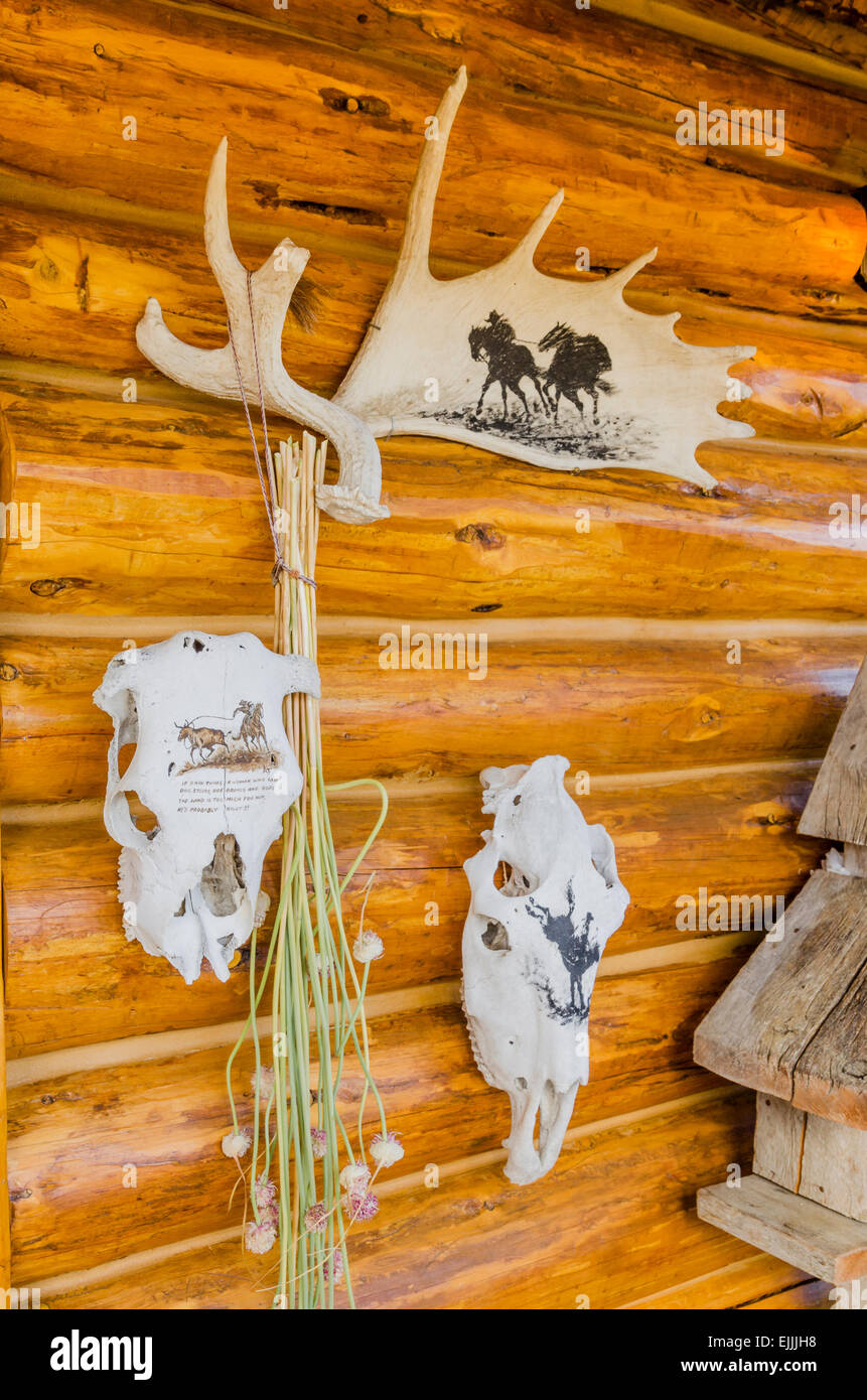 Cowboy art sur bois d'orignal et de crânes de vache par Louise Bouchard, région de Cariboo, en Colombie-Britannique, Canada Banque D'Images