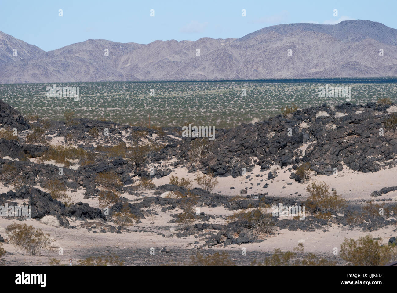 Avis de sol du désert à l'Est de Amboy en Californie. Banque D'Images