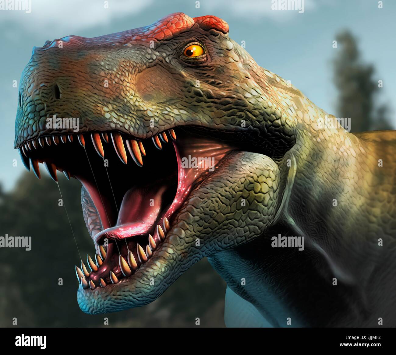 Tyrannosaurus rex chef de l'étude. Ce dinosaure vivait en Amérique du Nord et d'Asie d'environ 70 millions d'années jusqu'à la Banque D'Images