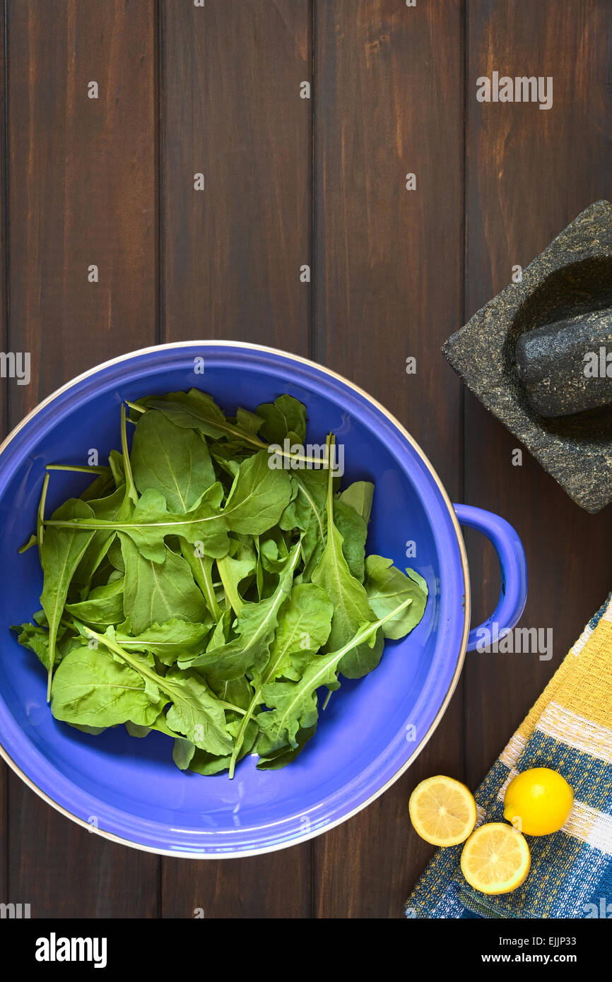 Coup de frais généraux de rucola (lat. Eruca sativa) feuilles en métal bleu avec crépine citron, mortier et pilon Banque D'Images