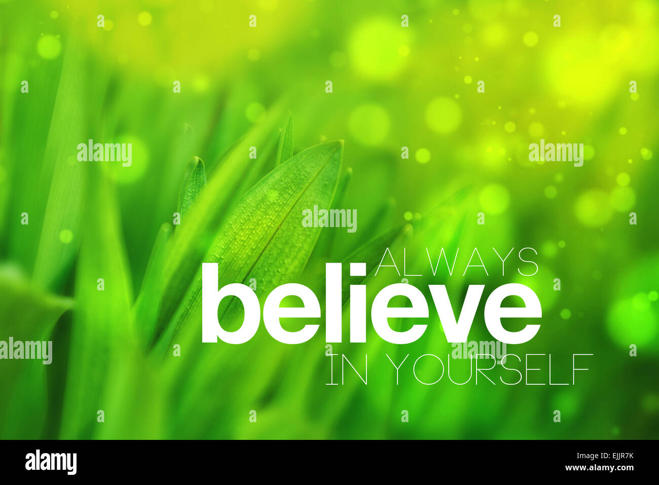Toujours Croire En Soi De L Image Conceptuelle De Motivation Pour Bien Floue Sur Fond Vert Printemps Vintage Retro Instagram Photo Stock Alamy