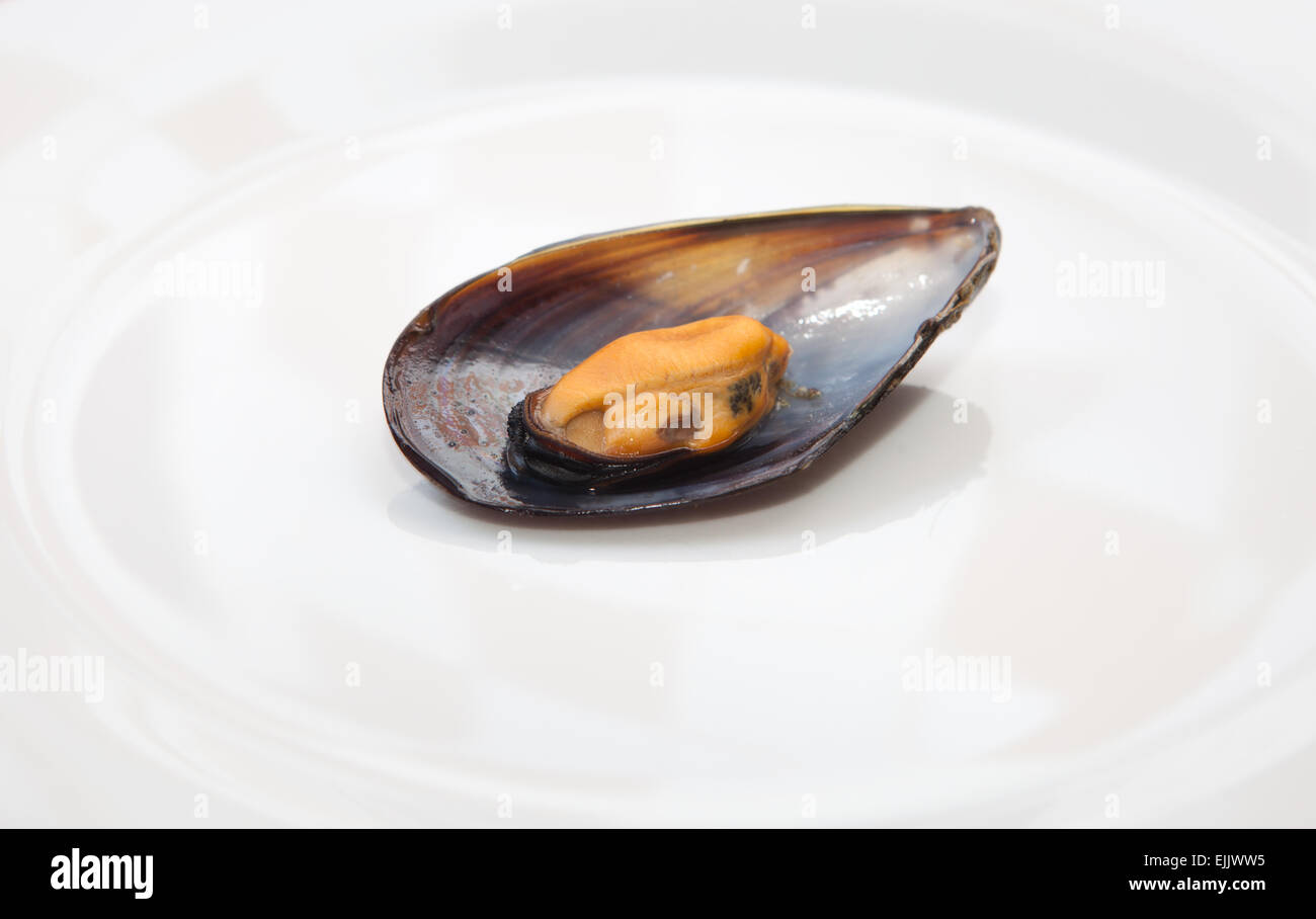 Fermer vue détaillée de bouillie de moules dans une assiette. Isolé sur fond blanc Banque D'Images