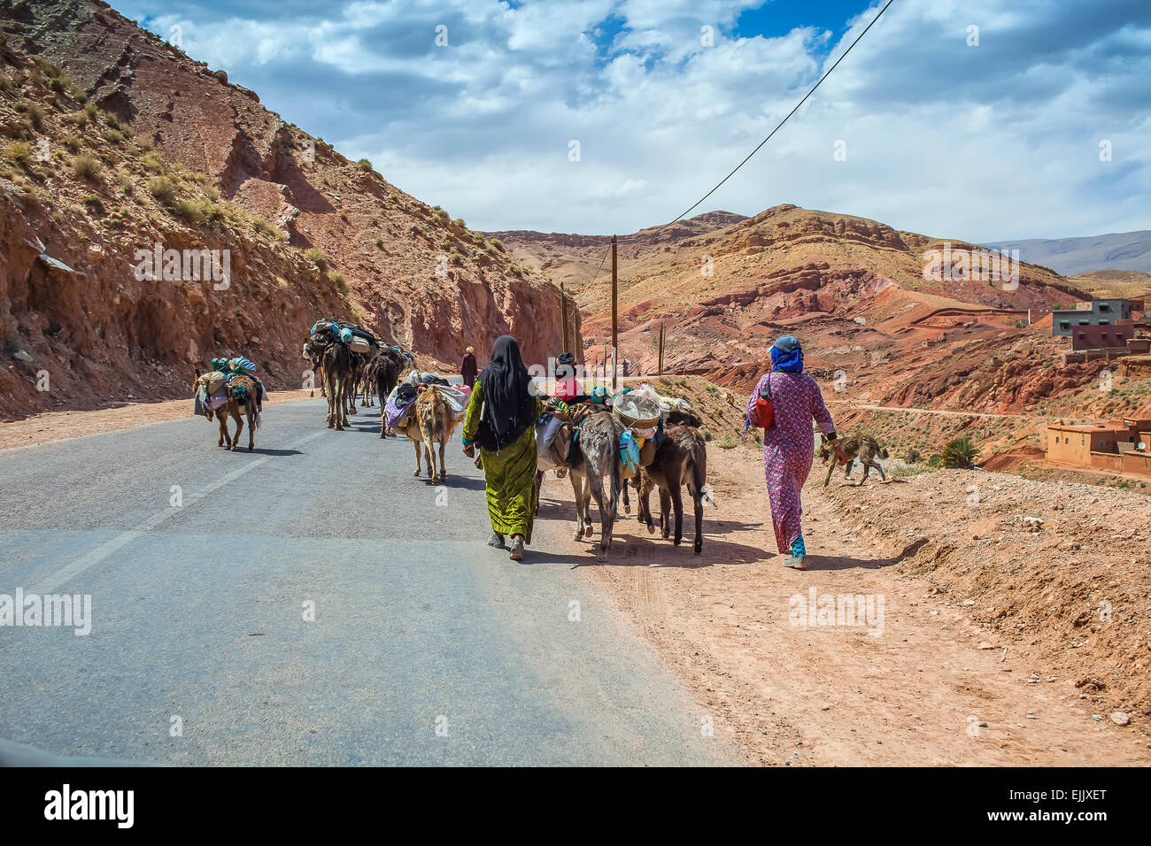 Les Berbères, les chameaux et les ânes, transport des matériaux, les gorges du Dadès, au Maroc. Banque D'Images