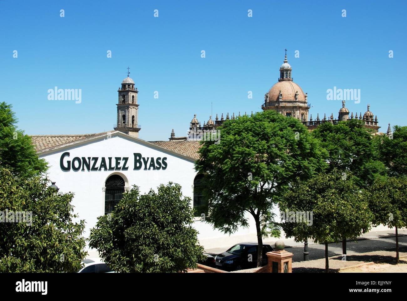 Vue sur les Bodegas Gonzalez Byass vers la cathédrale, Jerez de la Frontera, province de Cadiz, Andalousie, Espagne, Europe. Banque D'Images