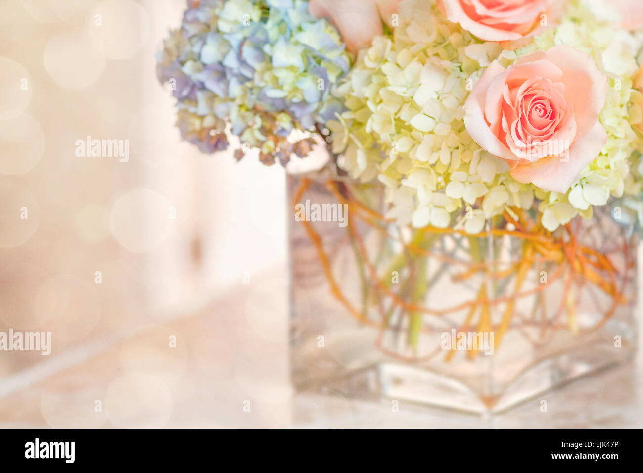 Peach Rose Hortensia Bleu Pastel Vase en verre arrière-plan flou Banque D'Images