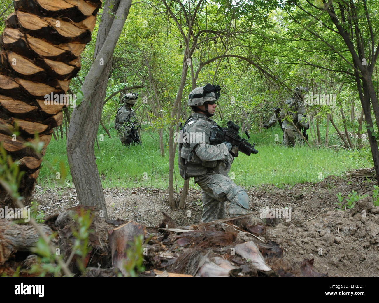 35th infantry division Banque de photographies et d’images à haute