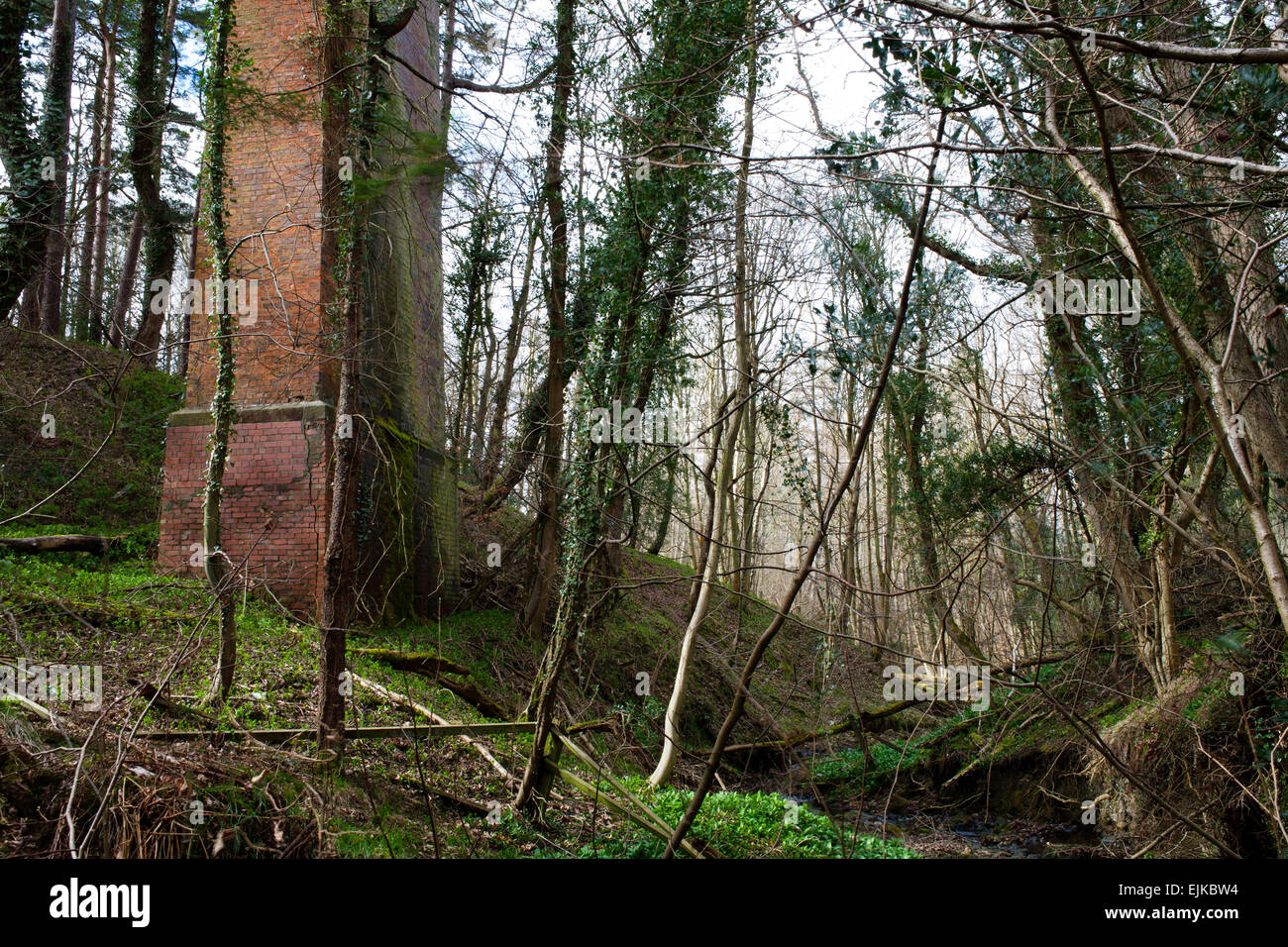 Un segment d'Foegoesburn viaduc qui enjambe les gorges de l'Foegoes brûler sur le chemin de fer à pied de Derwent, dans le comté de Durham. Banque D'Images Un segment d'Foegoesburn viaduc qui enjambe les gorges de l'Foegoes brûler sur le chemin de fer à pied de Derwent, dans le comté de Durham. Banque D'Images