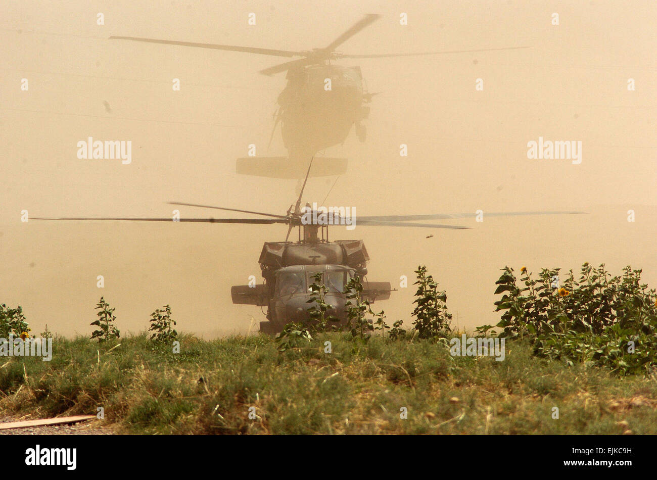 L'ARMÉE AMÉRICAINE UN UH-60 Black Hawk des terres pour récupérer les soldats de l'armée américaine de la Compagnie Alpha, 2e Bataillon, 505th Parachute Infantry Regiment, 82nd Airborne Division après avoir mené des raids à Samarra, en Irak, le 11 juin 2007. Le Sgt. 1re classe Robert C. Brogan publié Banque D'Images