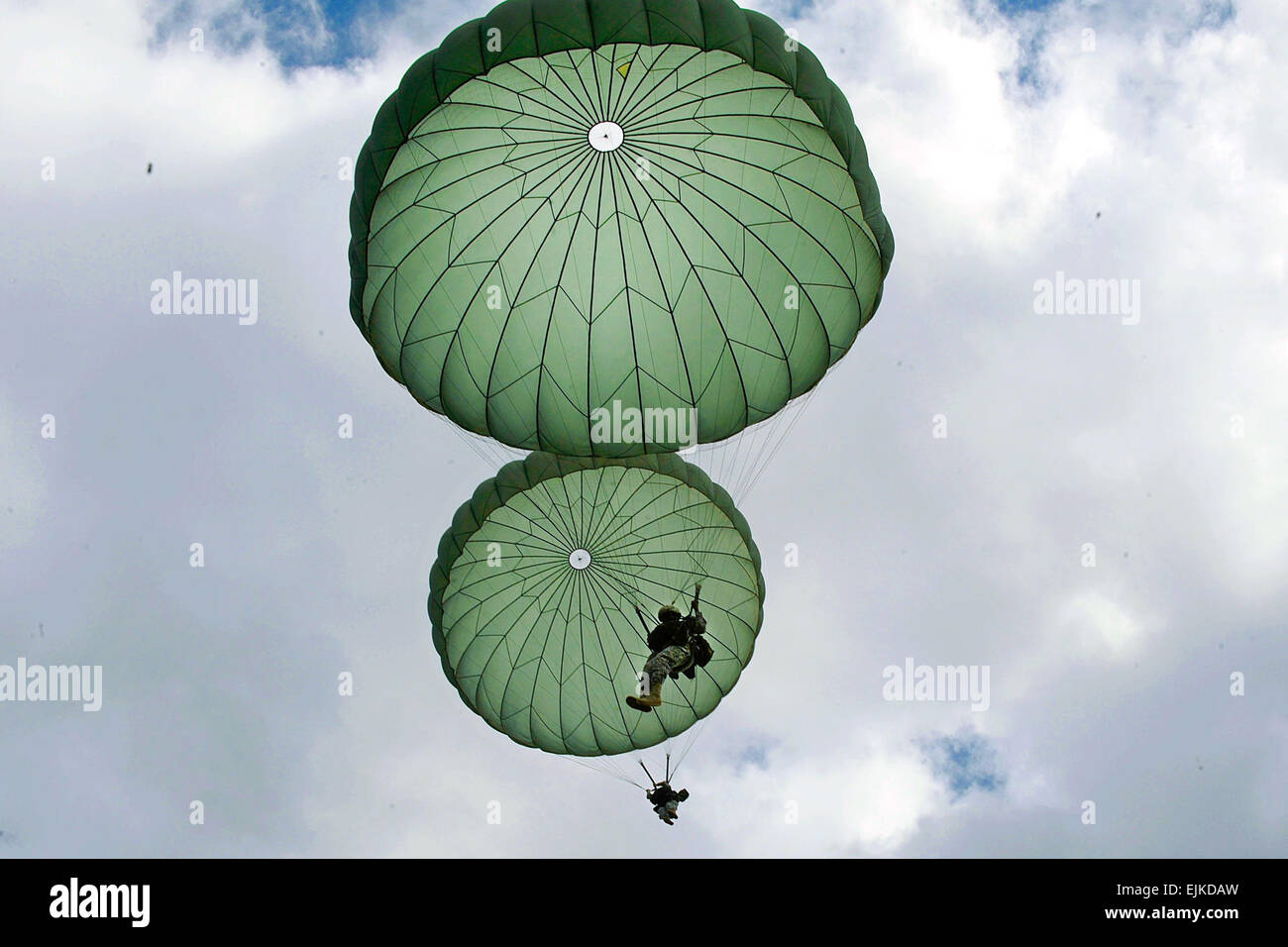 Les parachutistes de l'armée américaine de la 82e Division aéroportée descendre au sol après avoir sauté d'un C-17 Globemaster III, sur la zone de la Sicile lors d'opérations conjointes Exercice JOAX Accès le 8 septembre 2011. JOAX est un exercice d'une semaine pour préparer l'Armée de l'air et l'armée pour répondre aux crises dans le monde entier et les imprévus. U.S. Air Force photo/Le s.. Quinton Russ publié Banque D'Images