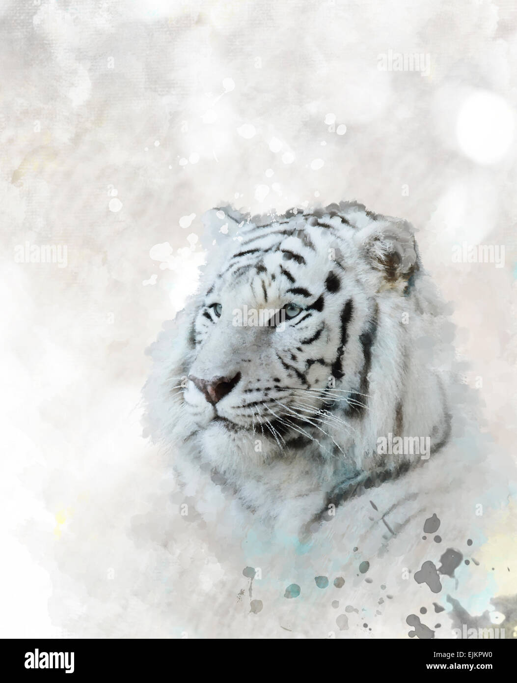 Peinture numérique de tête de tigre blanc Banque D'Images