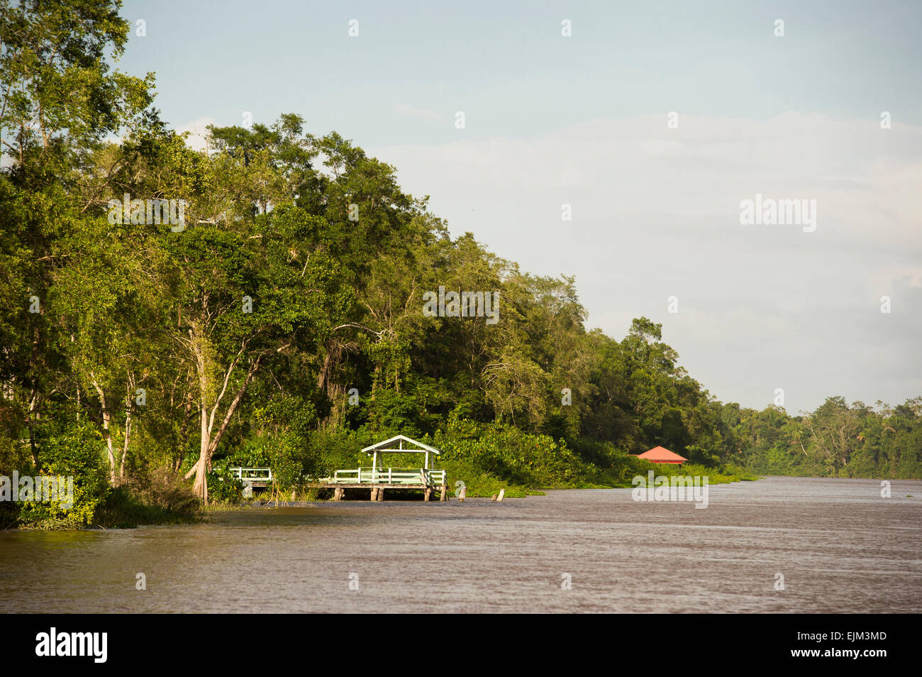 La rivière Saramacca, Suriname Banque D'Images