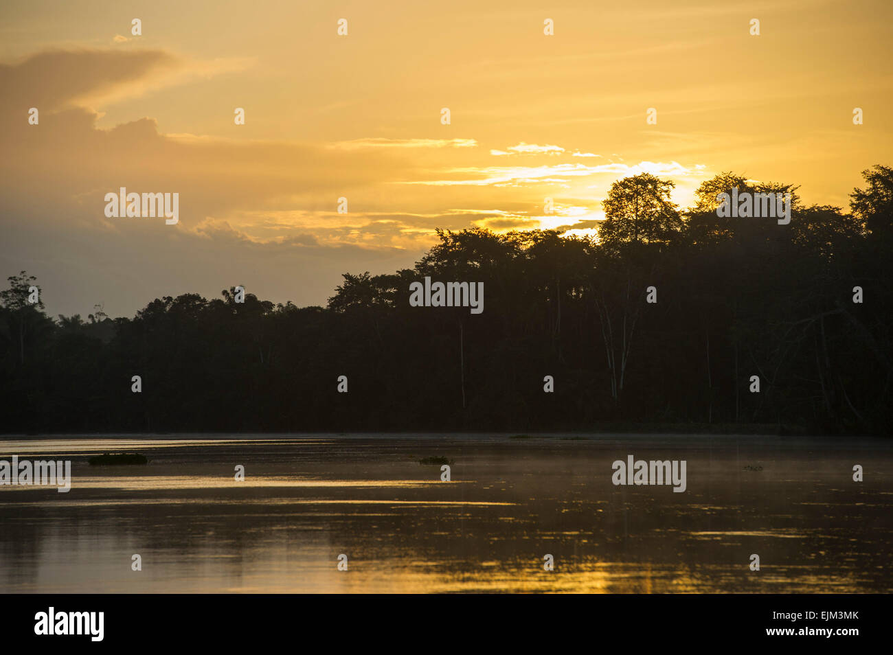 La rivière Saramacca au lever du soleil, le Suriname Banque D'Images