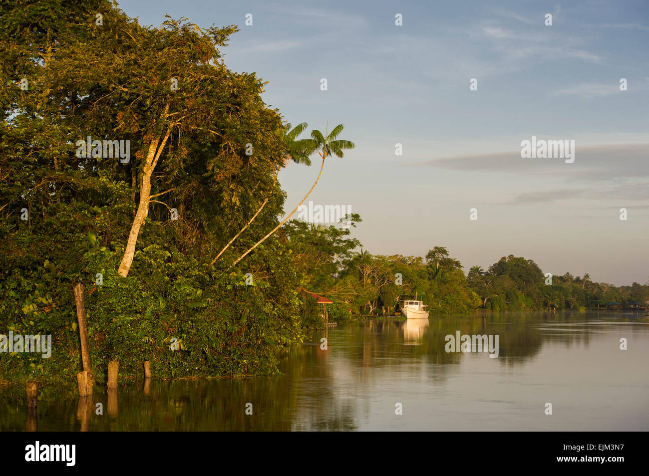 La rivière Saramacca à l'aube, le Suriname Banque D'Images