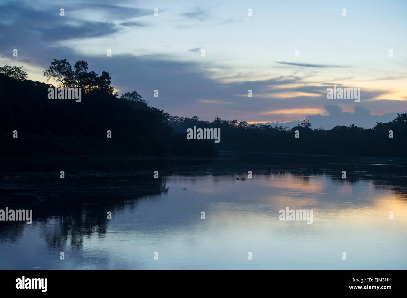 La rivière Saramacca à l'aube, le Suriname Banque D'Images