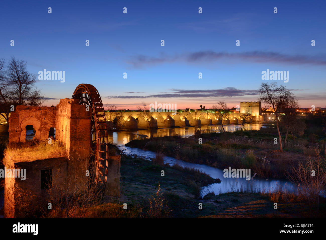 L'aube sur le pré de la rivière Guadalquivir à Córdoba Banque D'Images