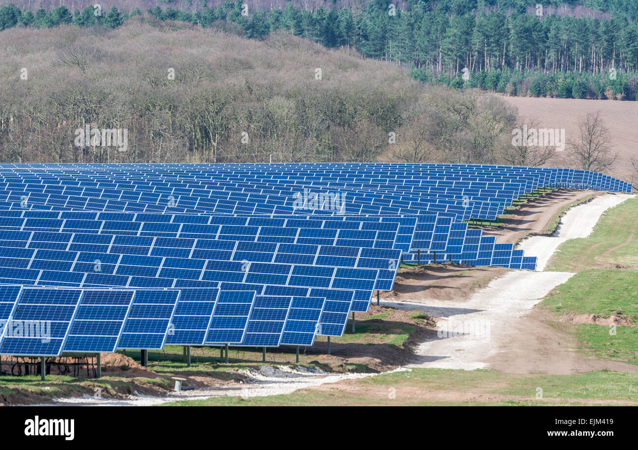 Un champ de P.V. des panneaux solaires à un parc solaire sur le Welbeck Estate, Meden Vale, Nottinghamshire. Banque D'Images