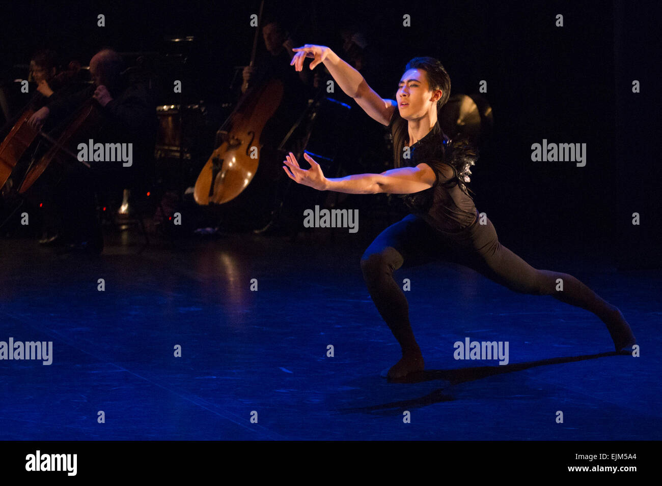 23/03/2015. Londres, Angleterre. Photo : Zhang Jinhao dans mort du cygne - Vainqueur de la finale 2015 Danseuse émergents. L'English National Ballet Dancer's Emerging 2015 finale au Queen Elizabeth Hall, Southbank Centre, Londres. Banque D'Images