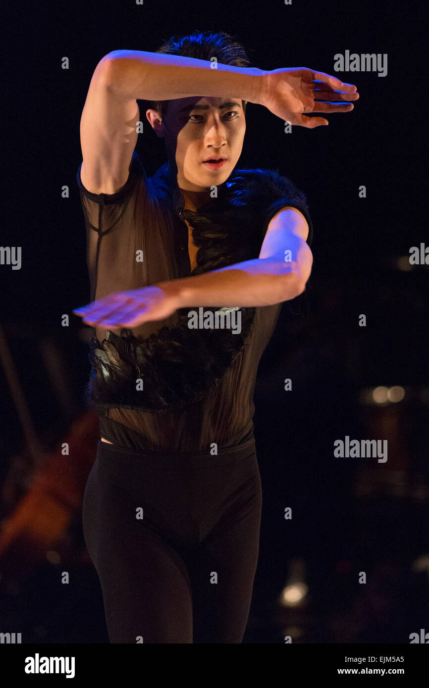 23/03/2015. Londres, Angleterre. Photo : Zhang Jinhao dans mort du cygne - Vainqueur de la finale 2015 Danseuse émergents. L'English National Ballet Dancer's Emerging 2015 finale au Queen Elizabeth Hall, Southbank Centre, Londres. Banque D'Images