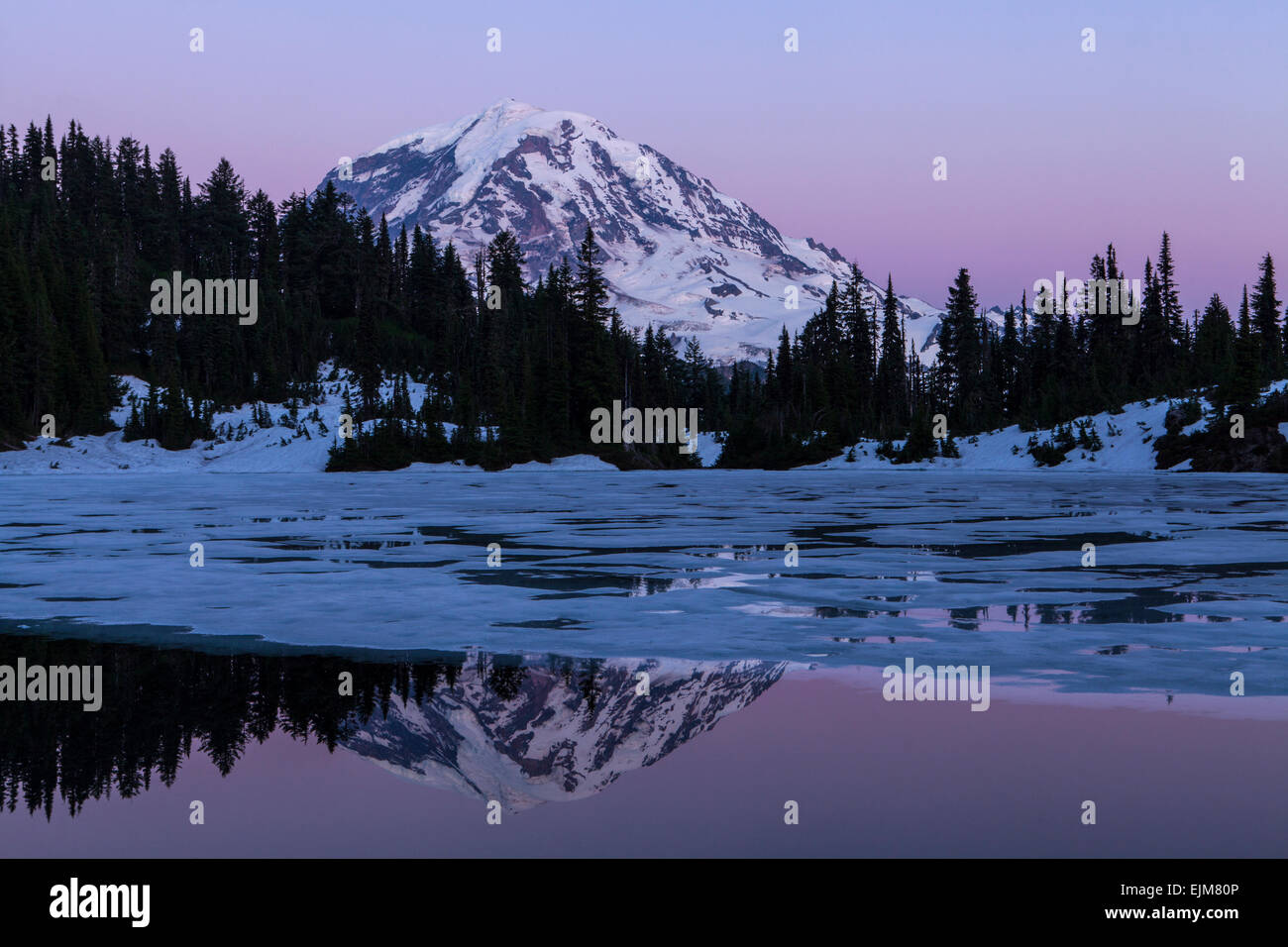 Le mont Rainier reflété dans le lac partiellement gelé Eunice après le coucher du soleil, le Mont Rainier National Park, Washington, USA. Banque D'Images